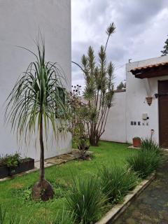 La casa de las flores - 7