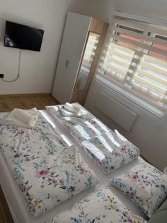 Hestia Suite - Zaječar - 4
