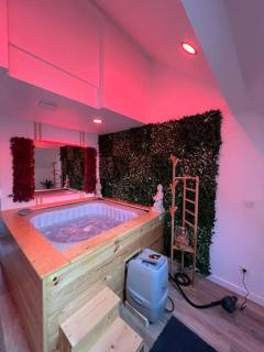 Love room jacuzzi proche centre ville - Amiens - 6
