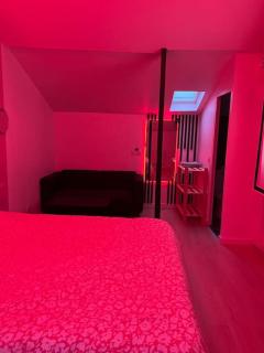 Love room jacuzzi proche centre ville - Amiens - 4