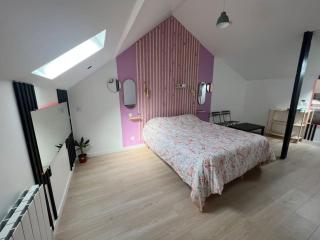 Love room jacuzzi proche centre ville - Amiens - 3
