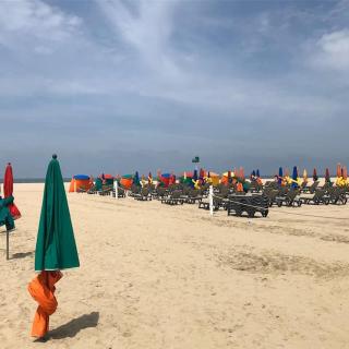 Les Planches de Céline, beau T2 à Deauville - Deauville - 7
