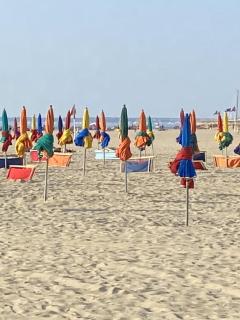 Les Planches de Céline, beau T2 à Deauville - Deauville - 6