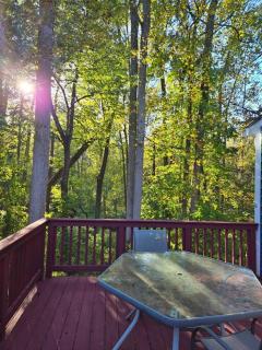 Charming Retreat at Silver Spring - 7