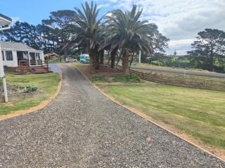 Apartment 1 - Auckland - 1