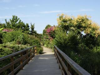 Appartement 4 pers. centre Mimizan, neuf avec parking - FR-1-50-143 - Mimizan - 4