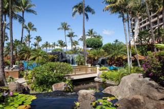 Marriott's Maui Ocean Club - Lahaina & Napili Towers - Lahaina - 5