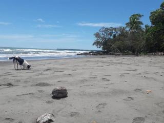 Casa Kike Cahuita - Talamanca - 8