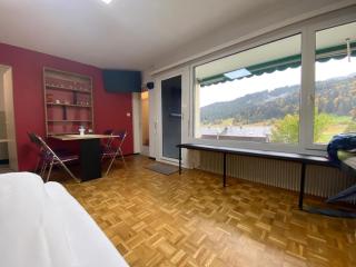 Wildhaus Ferienwohnung - Wildhaus - 7