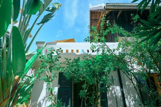 枫丹白露Laos - Luang Prabang - 2