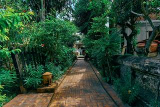 枫丹白露Laos - 3