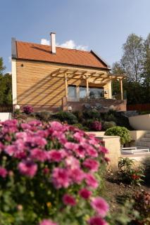 Eleonora Residence - Bicfălău - 6