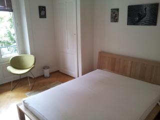 8 minutes walking from Lausanne Train station - Losanna - 3