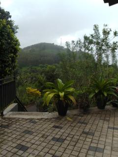 Bisso Village Estate Resort, Eheliyagoda - Eheliyagoda - 4