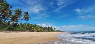 Patini Bungalows - Beach Garden - Tangalle - 8