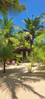 Patini Bungalows - Beach Garden - 6
