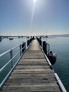Paws and Pause at The Bay - 0