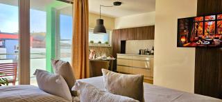 Apartment Holata 401 - Hradec Králové - 8