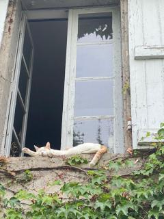 Au jardin Y - Moissac - 5