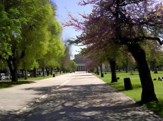 Roma SanPaolo Apartment - Rome - 8