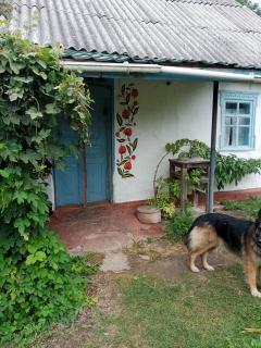 Дибинецькі Карпати - Dybintsy - 1