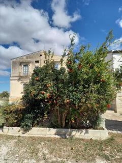 AgriturismoBugilfezza di TGESD - Modica - 6