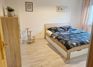 Ferienwohnung mit Balkon in Weißenfels - - 3