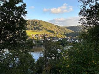 Urlaub in der Eifel direkt am Rursee - Seewinkel - Simmerath - 3