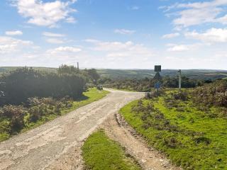 Scrumpy Cottage - Bodmin - 3