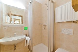 Sapia Hotel St. Fridolin - Bad Säckingen - 9