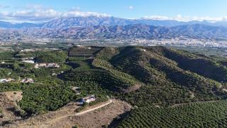 Casa La Dehesa - Huertas Bajas - 7