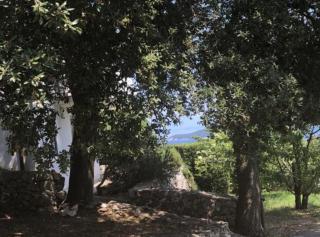 Holiday Home Brsec - 4