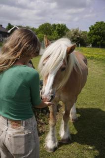 Wild Cabins Kinvara - 8