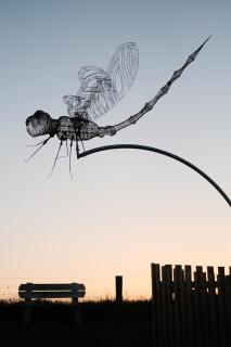 Wild Cabins Kinvara - 6