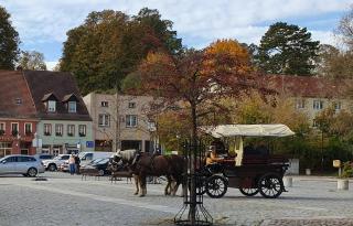 Ferienwohnung 2 Grüner Fürst mit Sitzecke im Innenhof & Parkplatz & Nähe Park - Bad Muskau - 7