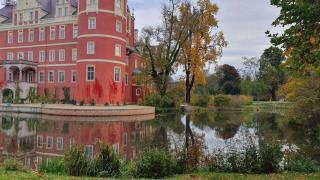 Der grüne Fürst Ferienwohnung Apartment 1 - Bad Muskau - 1