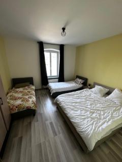 CAN appart spacieux avec grand jardin et terrasse 1 à 8 pers - Granges-sur-Vologne - 4
