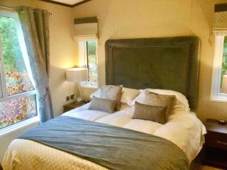 Luxury Forest View Lodge with private Hot Tub - Morpeth - 7