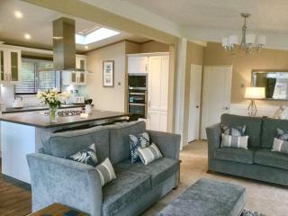 Luxury Forest View Lodge with private Hot Tub - Morpeth - 3