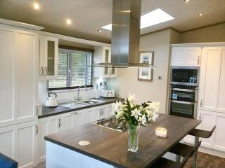 Luxury Forest View Lodge with private Hot Tub - Morpeth - 2