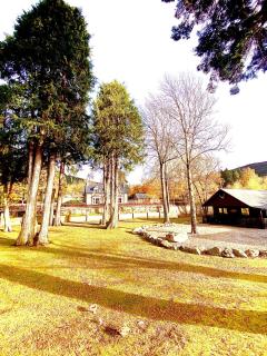 Braemar Lodge Cabins - 2