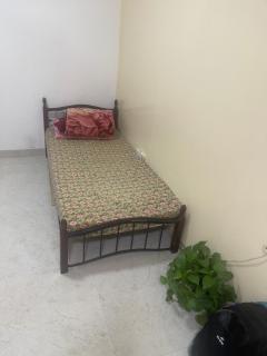 Shafeeq - Ajman - 2