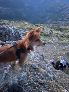 Sa Domo de Lillo e Arturo - 5