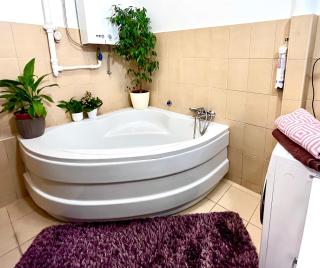 Margaret Bridge Best spot Apartment - Budapest - 9