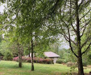 Bramber Cottage Hogsback, Living With Joy! - 6