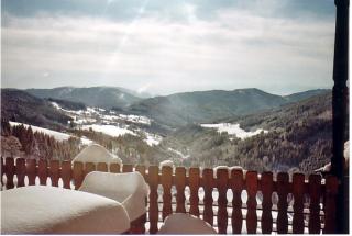 Apartment "Sunseitn" am Pietschacherhof - 2