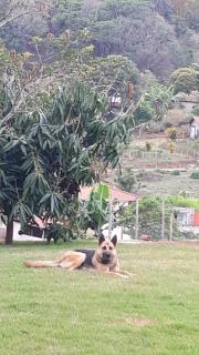 Sítio da Serra em Ouro Preto MG - POUSADA - Ouro Preto - 5