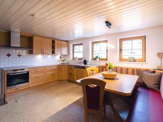TIROLER TRAUMHAUS Hochzillertalblick - an AlpenLuxus Appartement, Tyrol - Stumm - 2
