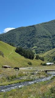 Januka Studio - Kazbegi - 2