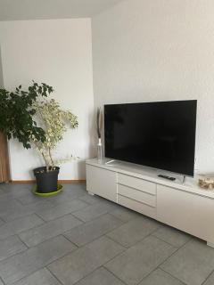 Gemütliche, sonnendurchflutete Ferienwohnung in Bodenseenähe am Säntisblick - Herdwangen-Schönach - 7